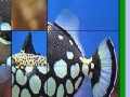 Gra Fish Slide Puzzle 