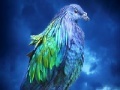 Gra Lovely blue bird slide puzzle