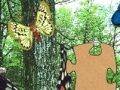 Gra 3D Real Puzzle butterfly