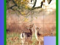 Gra Two Deer Slide Puzzle