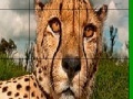 Gra Big head cheetah slide puzzle