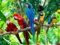 Gra Zoo Hidden Objects 