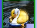 Gra Cute Chicks Slide Puzzle