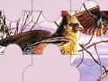 Gra Chatter birds puzzle