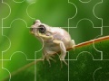 Gra Cute little frog puzzle