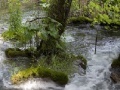 Gra Plitvice Lake Jigsaw