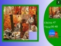 Gra Wolves in the woods slide puzzle
