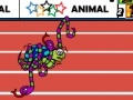 Gra Animal Olympics - Hurdles