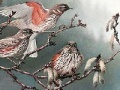 Gra Birds on a tree slide puzzle