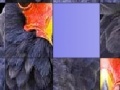 Gra Dizzy fluffy bird slide puzzle