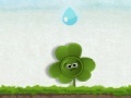 Gra Clover Flower