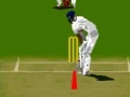 Gra Virtual cricket