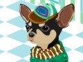 Gra Pick up the suit for Chihuahua