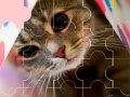 Gra Cat really cute 3 puzzle