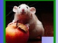 Gra Puzzle: Apple and Mouse