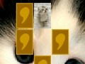 Gra Cute cat memory