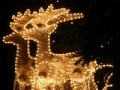 Gra Christmas Lights Jigsaw