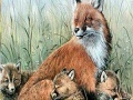 Gra Fox family in the nature puzzle