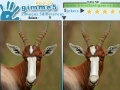 Gra Gimme 5 Wildlife