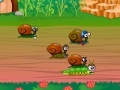 Gra Snail race