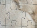 Gra Puppies jigsaw