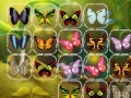 Gra Batterfly Connect