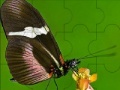 Gra Fantastic butterfly puzzle