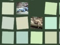 Gra Memory: Animals