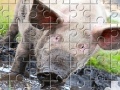 Gra Little Piggy Jigsaw