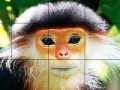 Gra Elderly monkey slide puzzle