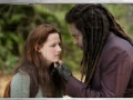 Gra Swing and set the twilight saga new moon