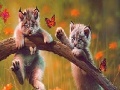 Gra Cute naughty cats slide puzzle