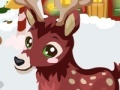 Gra Reindeer care