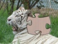 Gra Jigsaw White Tiger 