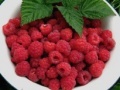 Gra Raspberry puzzle 