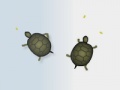 Gra Turtles