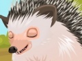 Gra Cute hedgehog care