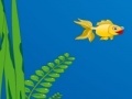 Gra Gold fish escape
