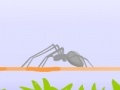 Gra Spider Fighting