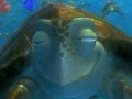 Gra Finding Nemo: Cruisin' With Crush