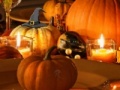 Gra Hidden Objects-Halloween Room