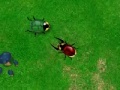 Gra Beetle Wars