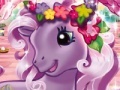 Gra Hidden Objects: My Little Pony