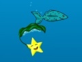 Gra Star Fish