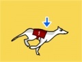 Gra Greyhound Racer DX