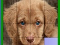 Gra Blue eyed dog slide puzzle