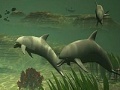 Gra Big dolphins slide puzzle