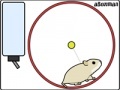 Gra Hamster