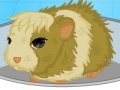 Gra Guinea pig needs owner