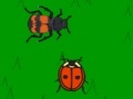 Gra The lady bug